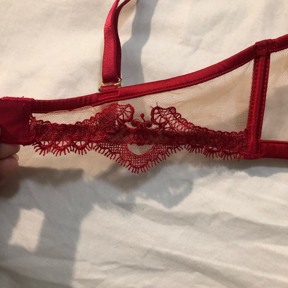 Honey Birdette Bra and Suspender - Picture 2 of 6
